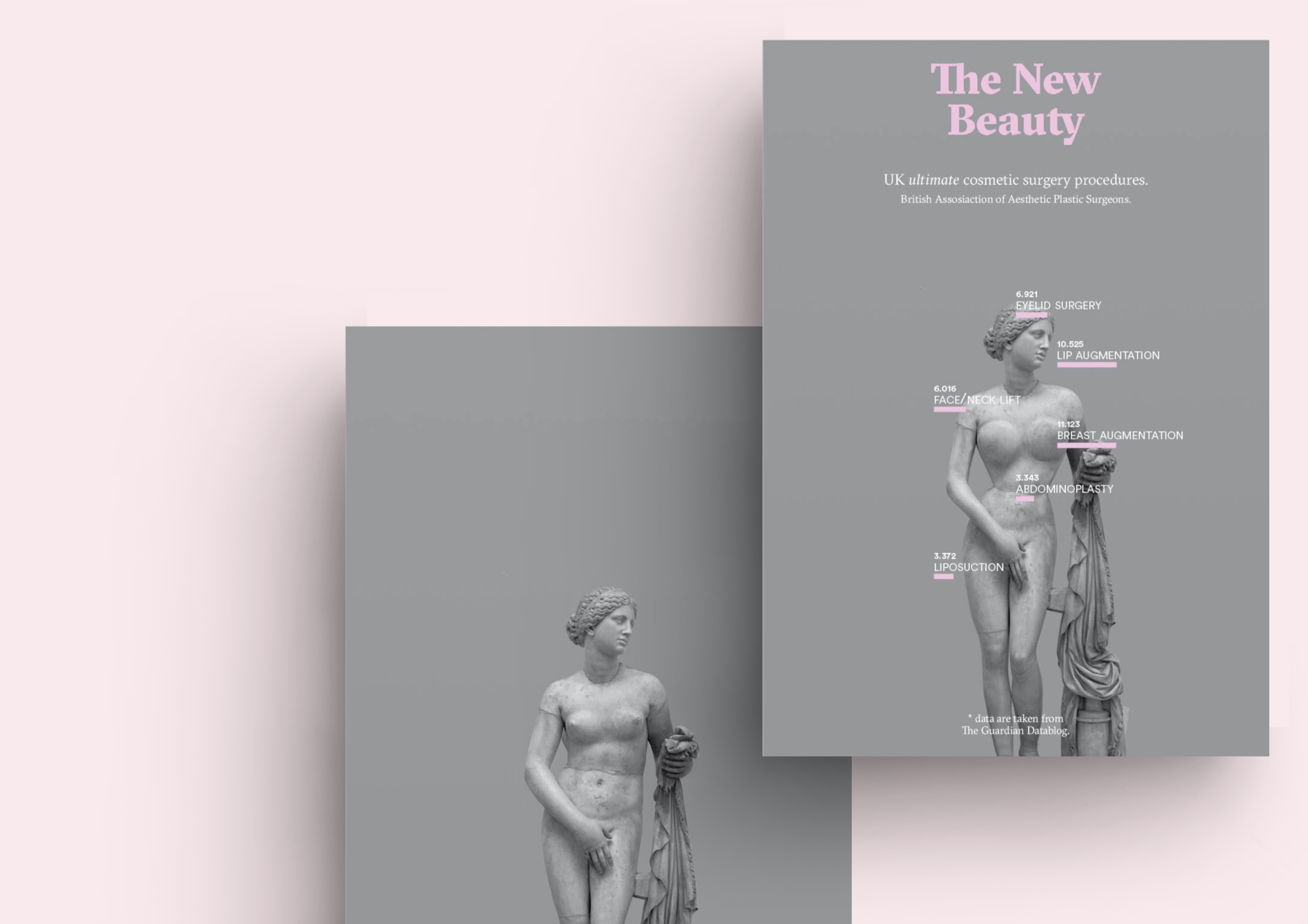 Complementary image of the project The New Beauty